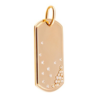 6047DOGTAG-01